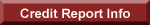 Credit Report Information